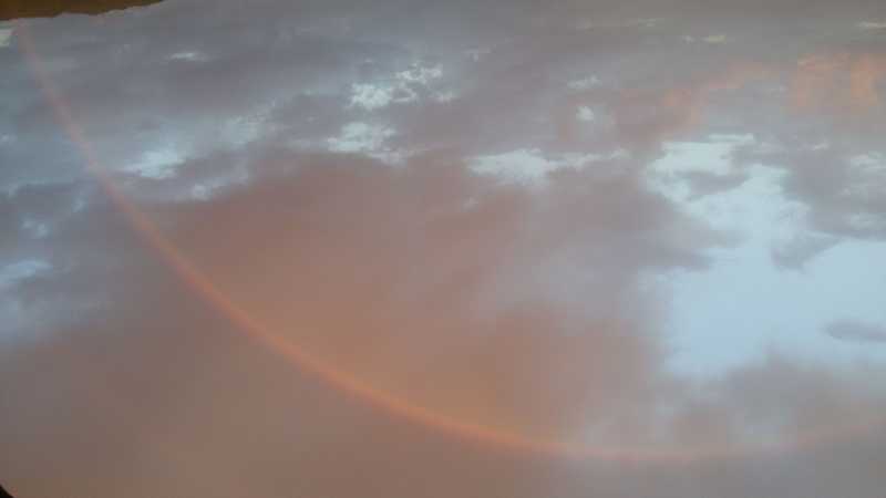 foto natura - undefined