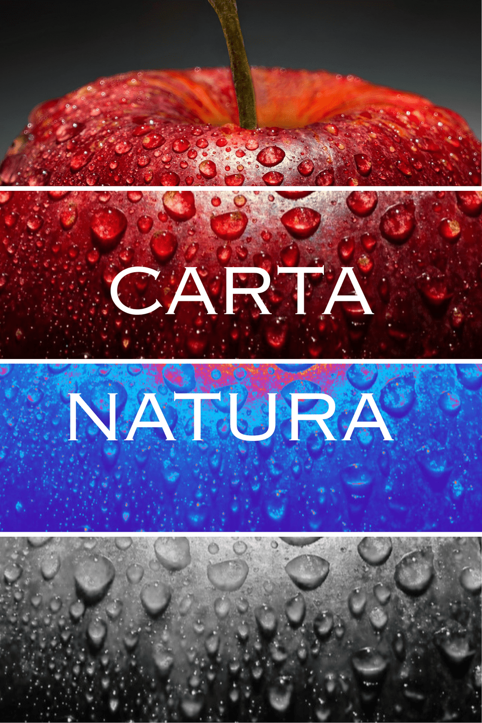 foto natura - 40088b057eb14c5f22d4d12055f9c81c