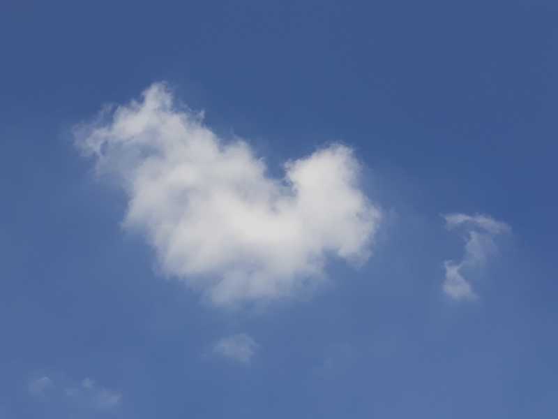 foto natura - undefined