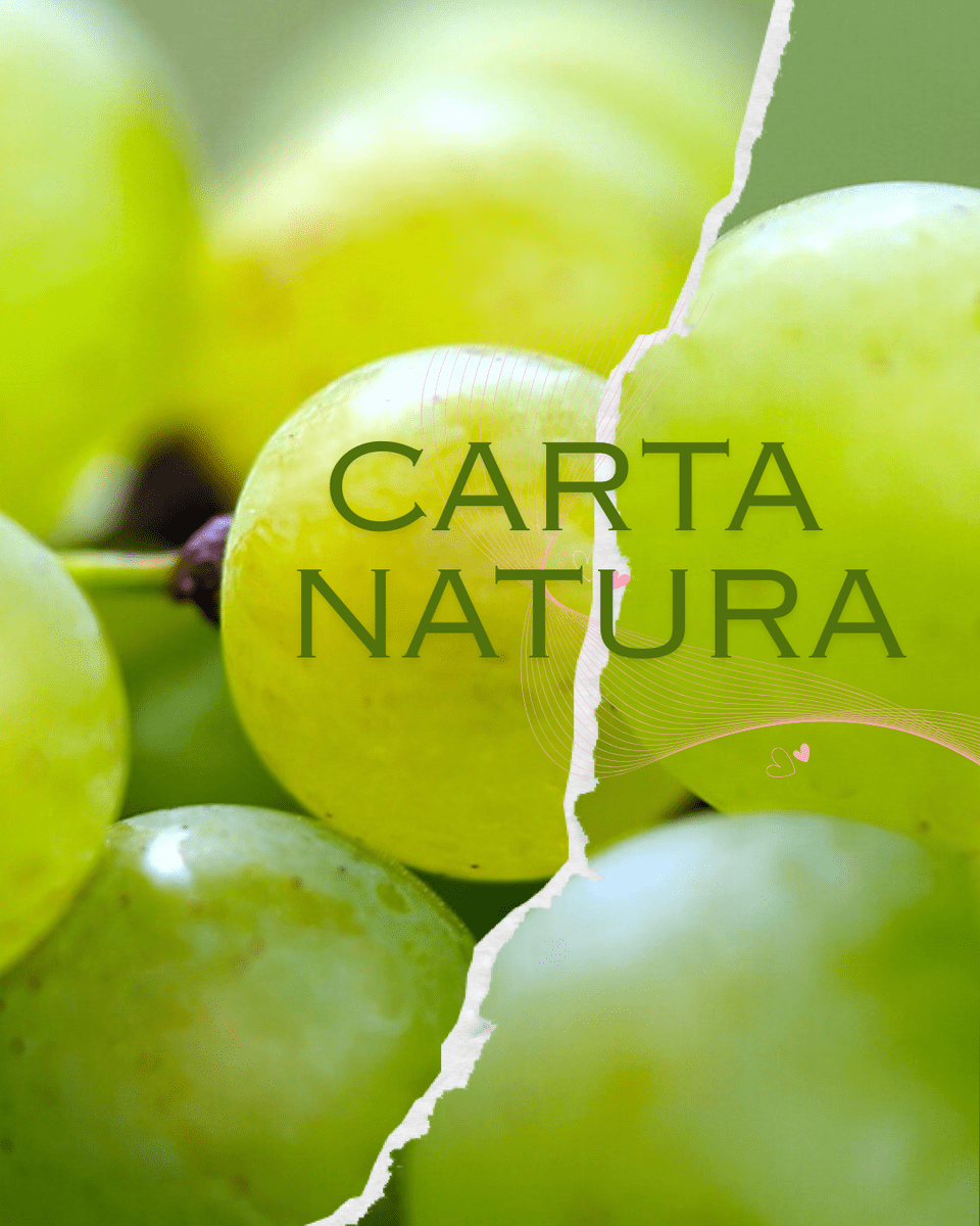 foto natura - 251728e194e6c81f2f4174e0771286b8