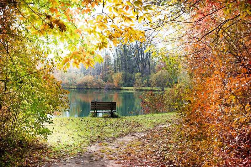 foto natura - undefined