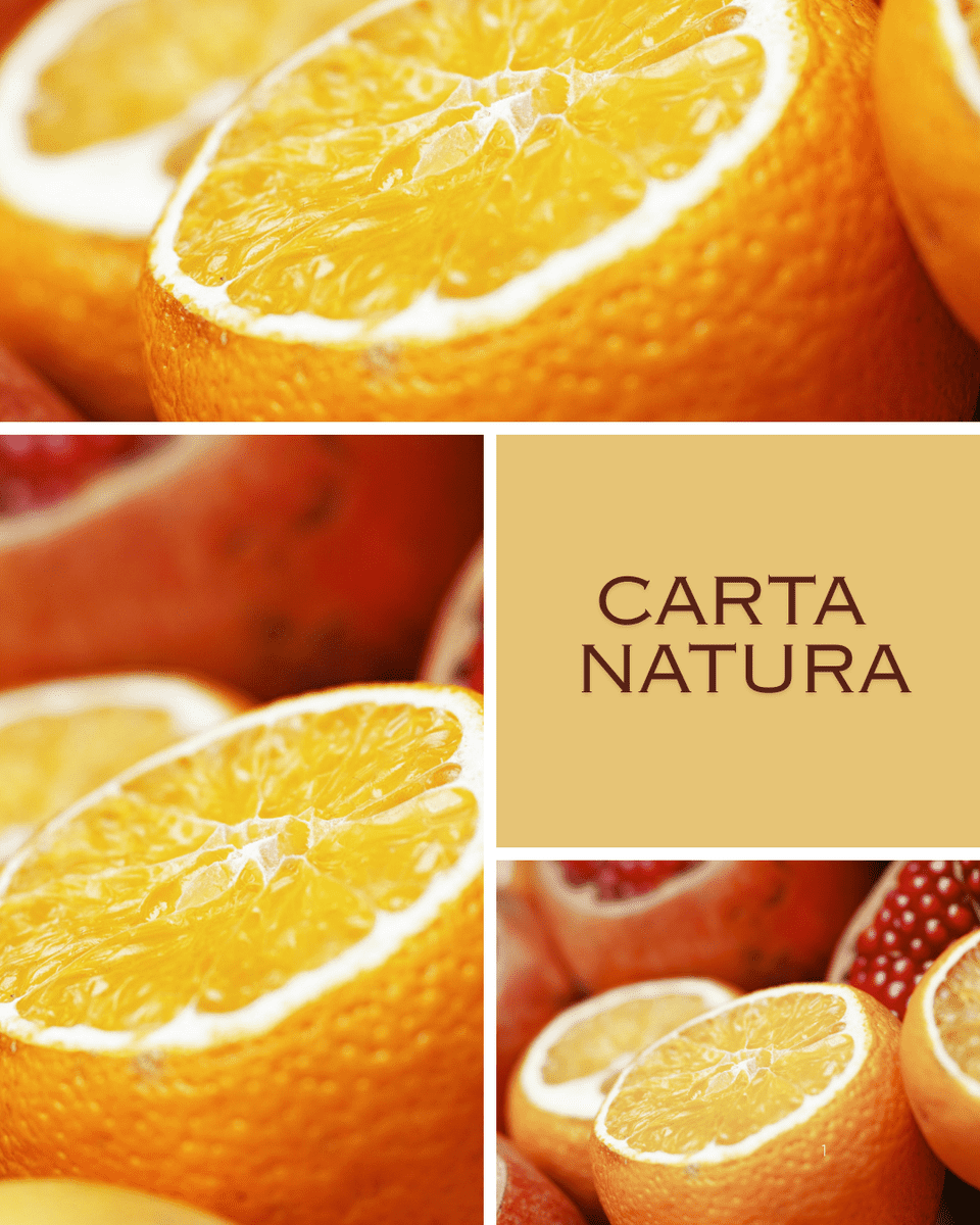 foto natura - 152091cf8b4155c9d8c1cb4dd2e5bbb8