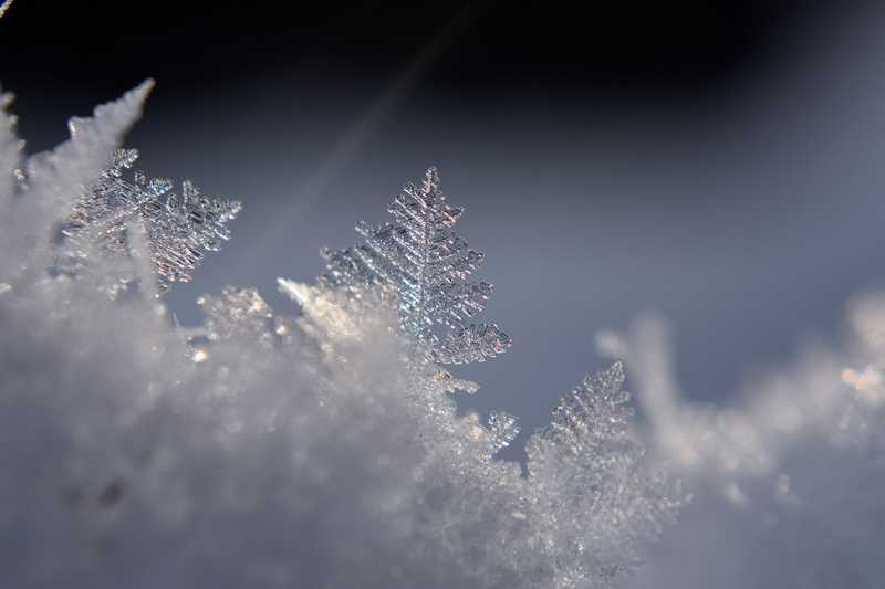 foto natura - undefined