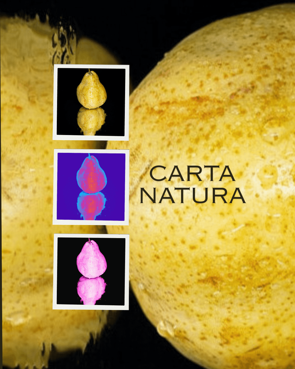 foto natura - 04c5b9c8d913b202457f41d7cc44eab9