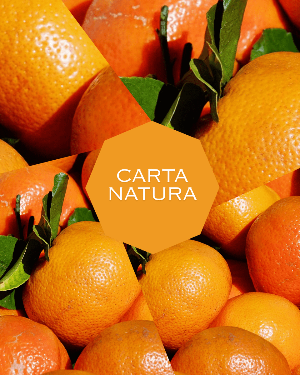 foto natura - b8f842a14d06b685acab8a3a62c70b24